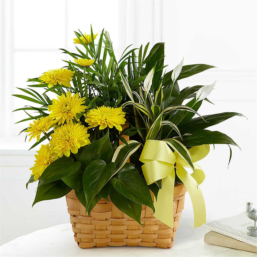 Loving Light Dishgarden – KENDRA'S FLORAL KREATIONS, Indianapolis IN