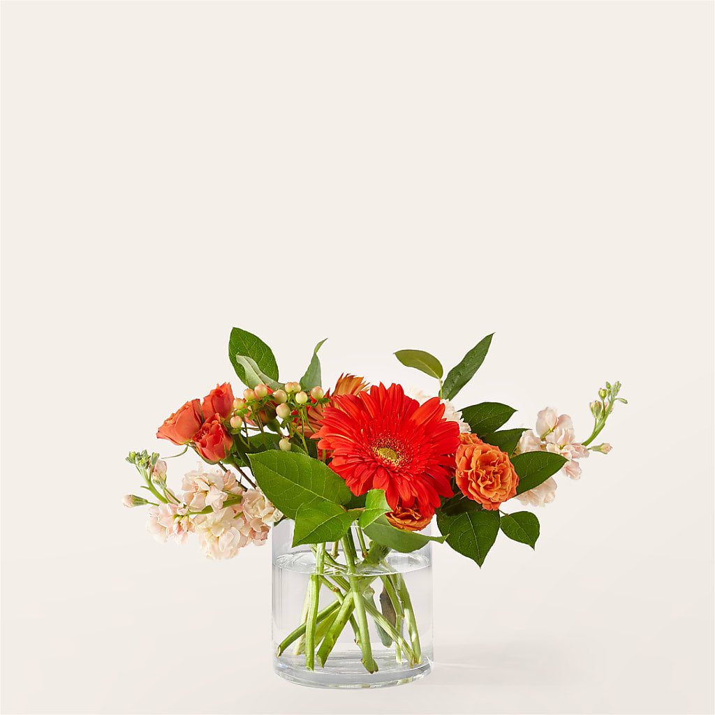 Paloma Please Bouquet – KENDRA'S FLORAL KREATIONS, Indianapolis IN