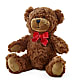 Adorable Plush Bear – KENDRA'S FLORAL KREATIONS, Indianapolis IN