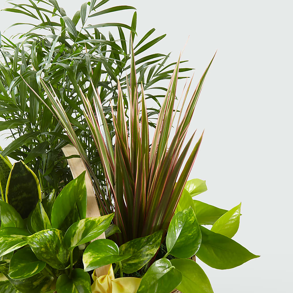 French Garden – KENDRA'S FLORAL KREATIONS, Indianapolis IN