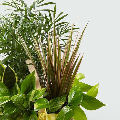 French Garden – KENDRA'S FLORAL KREATIONS, Indianapolis IN