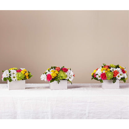 Sorbet Bouquet – KENDRA'S FLORAL KREATIONS, Indianapolis IN