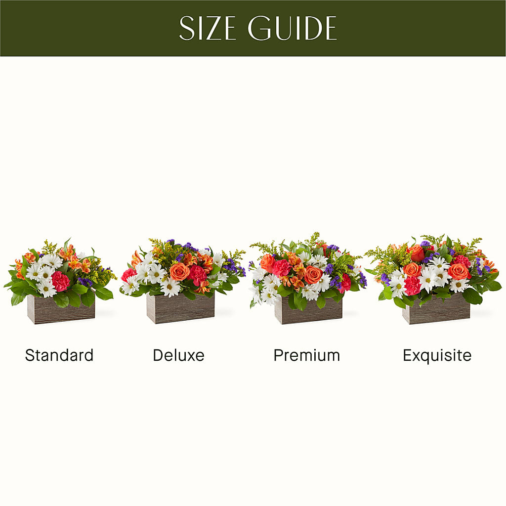 Oopsie Daisy Box Bouquet – KENDRA'S FLORAL KREATIONS, Indianapolis IN