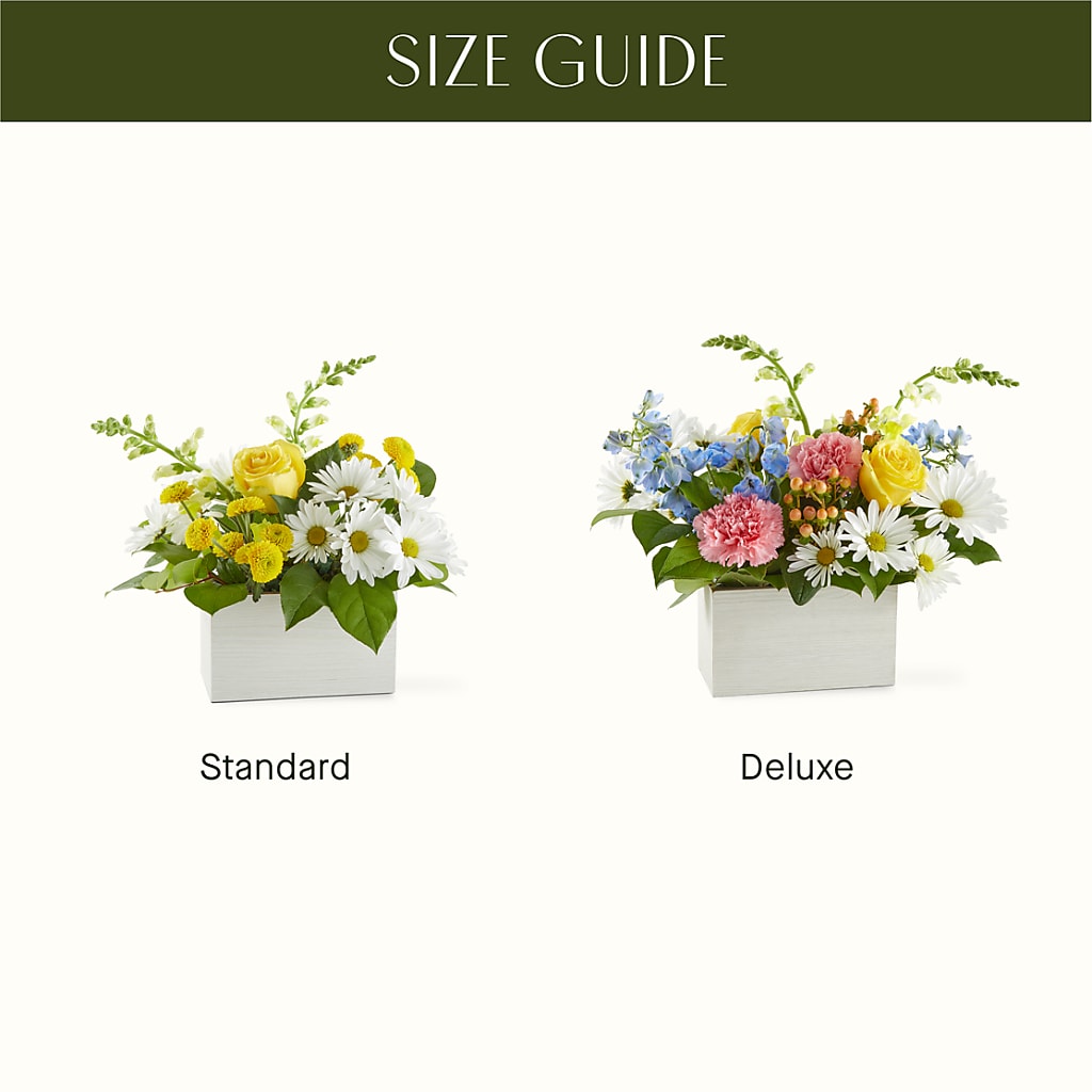 Sun Salutation Box Bouquet – KENDRA'S FLORAL KREATIONS, Indianapolis IN
