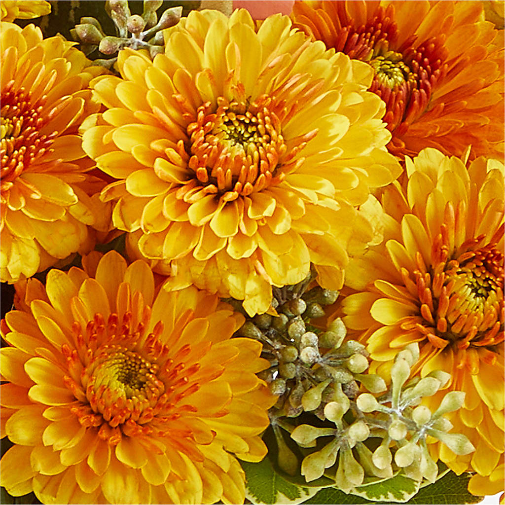 Peachy Pumpkin – KENDRA'S FLORAL KREATIONS, Indianapolis IN