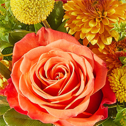 Gourdgeous Pumpkin – KENDRA'S FLORAL KREATIONS, Indianapolis IN