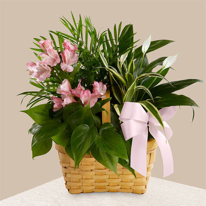 Living Spirit Dishgarden – KENDRA'S FLORAL KREATIONS, Indianapolis IN