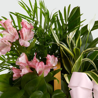 Living Spirit Dishgarden – KENDRA'S FLORAL KREATIONS, Indianapolis IN