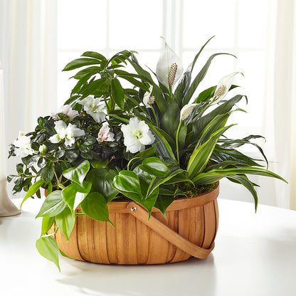 Serene Dishgarden – KENDRA'S FLORAL KREATIONS, Indianapolis IN