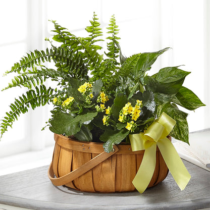 Always Dear Dishgarden – KENDRA'S FLORAL KREATIONS, Indianapolis IN
