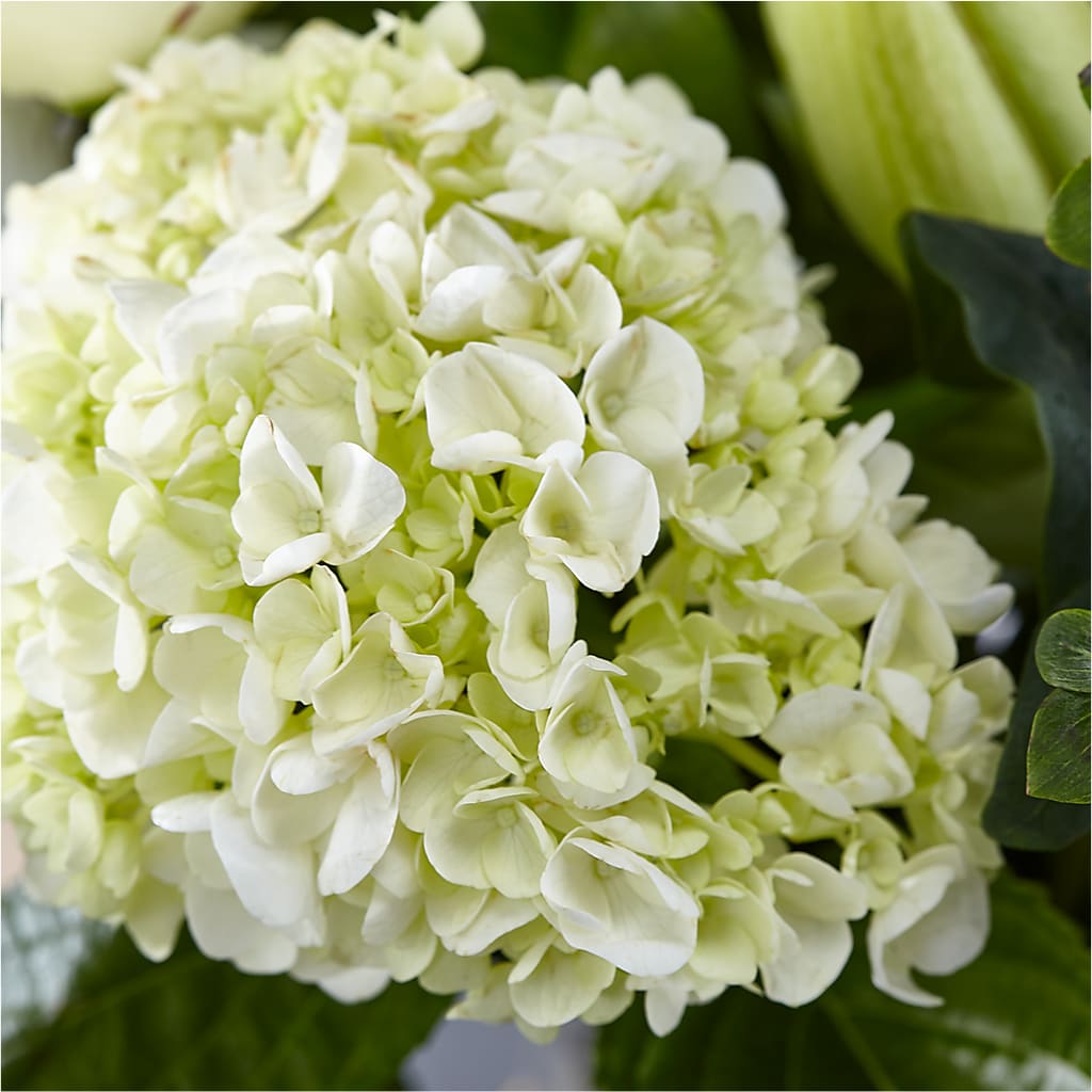 Classic Ivory – A Florist Original – KENDRA'S FLORAL KREATIONS, Indianapolis IN