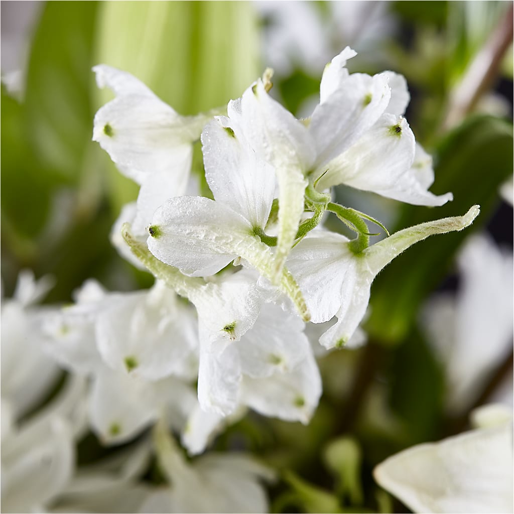 Classic Ivory – A Florist Original – KENDRA'S FLORAL KREATIONS, Indianapolis IN