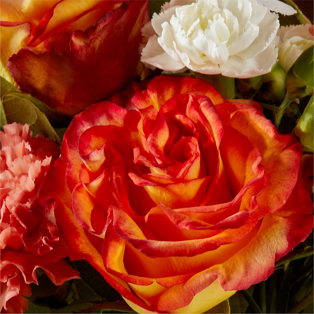 Apricot Glow Bouquet – KENDRA'S FLORAL KREATIONS, Indianapolis IN