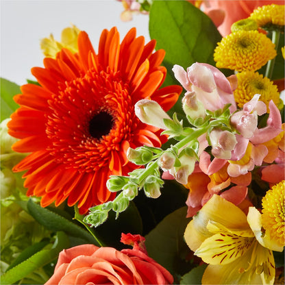 Autumn Sunshine Bouquet – KENDRA'S FLORAL KREATIONS, Indianapolis IN