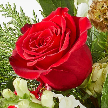 Deck the Halls Bouquet – KENDRA'S FLORAL KREATIONS, Indianapolis IN