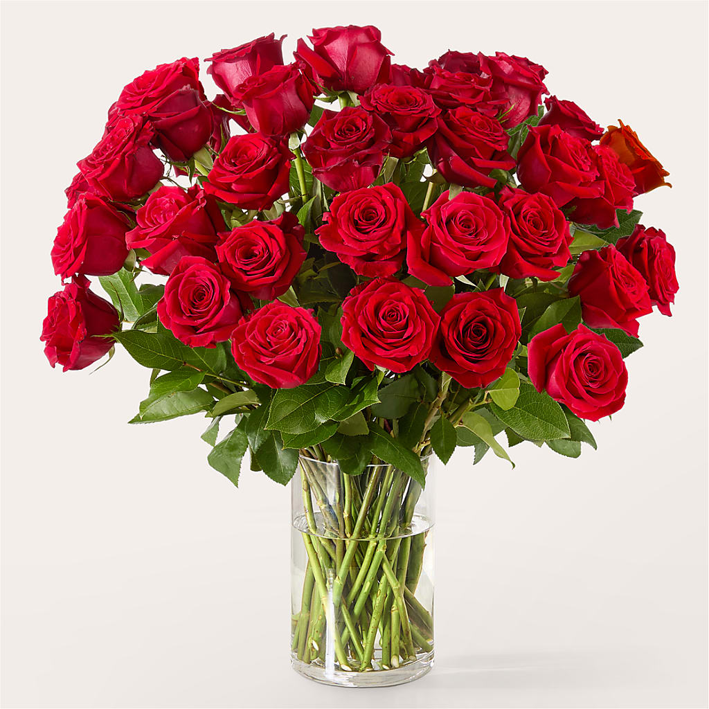 The One Red Rose Bouquet – KENDRA'S FLORAL KREATIONS, Indianapolis IN